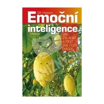 Emoční inteligence