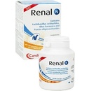 Renal N 70 g