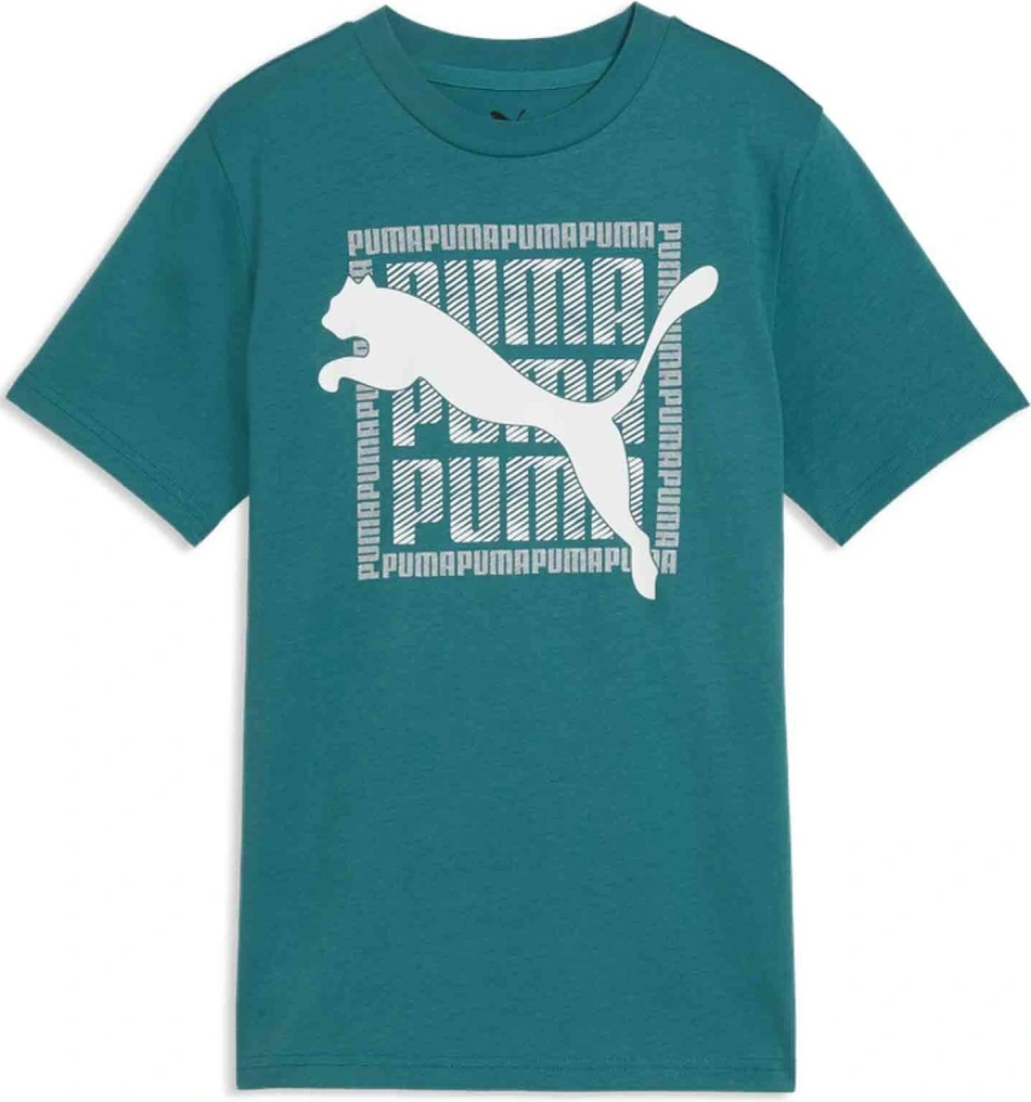 Puma Graphic Tee