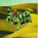 Django Django - Django Django LP