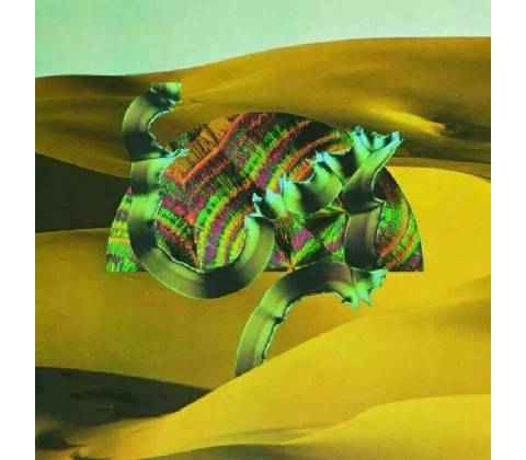 Django Django - Django Django LP