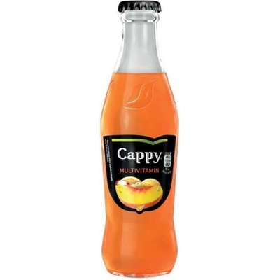 Cappy Multivitamín vratné sklo 24 x 250 ml