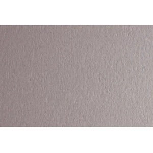 Fabriano Картон Colore, 50 x 70 cm, 140 g/m2, № 222, светлосив (43303222/2_PERLA)