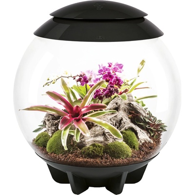 BiOrb Air Terrarium čierne 60 l