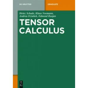 Tensor Analysis | Heinz Schade, Klaus Neemann, Andrea Dziubek, Edmond Rusjan (ISBN: 9783110404258)