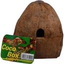Lucky Reptile Coco Box
