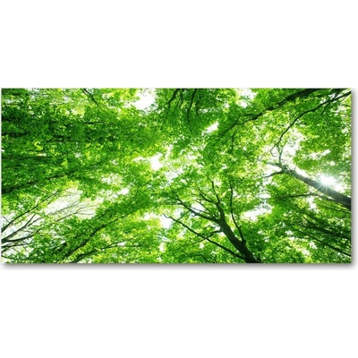 Fotoobraz na skle zelený les 100x50 cm