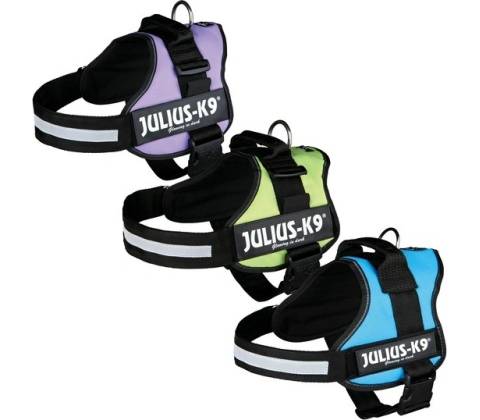 JULIUS K9 Power postroj