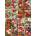 Enjoy - Puzzle Vintage Flower Seed Catalog Collage - 1 000 piese