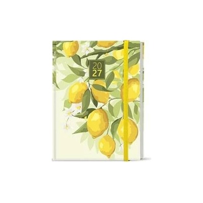 Adam Lamino B6 Denní 2027 Citron