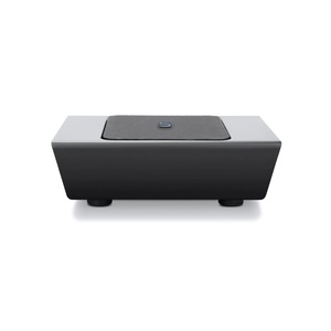 Bluesound Professional BSW150 Black Бас каса