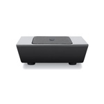 Bluesound Professional BSW150 Black Бас каса