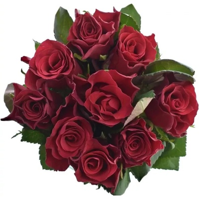 Kytice 9 červených růží Red Tacazzi+ 40 cm