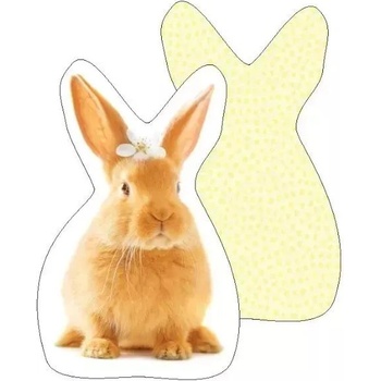 Carbotex Декоративна възглавница с мотив на зайче (ksz221067-pod)