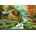Bluebird Puzzle - Puzzle Pinson: Alpine Serenity 1000 - 1 000 piese