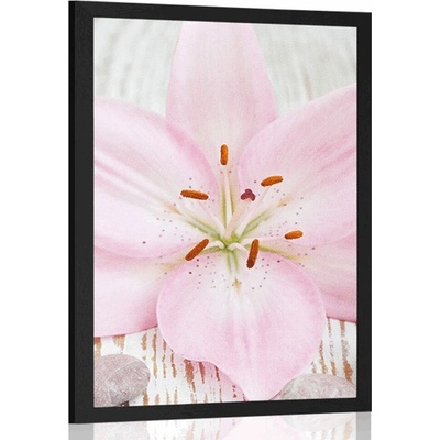 Plakát růžová lilie a Zen kameny - 20x30 white