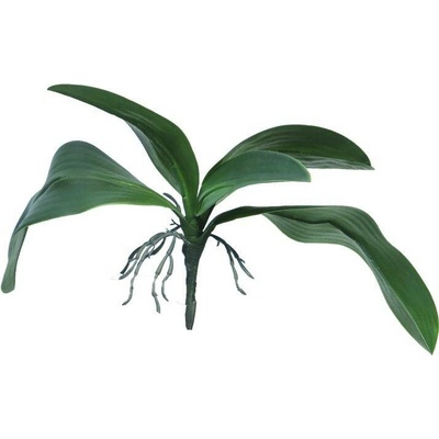 Umělé květina, Orchidej listy - Orchid leaves zelený V35 cm