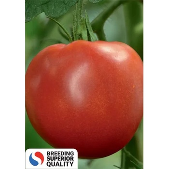 Image 1 of Superior Домати Медено сърце f1