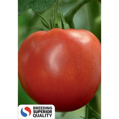 Superior Домати Медено сърце f1