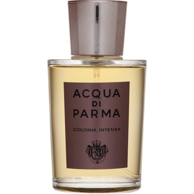 Acqua di Parma Colonia Intensia kolínská voda pánská 100 ml