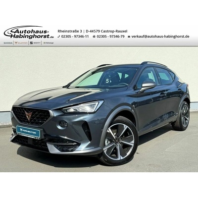 Cupra Formentor 1.5 TSI 110 kW