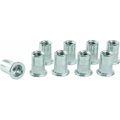 LEVIOR matica nitovacia M10x18mm 20ks sada