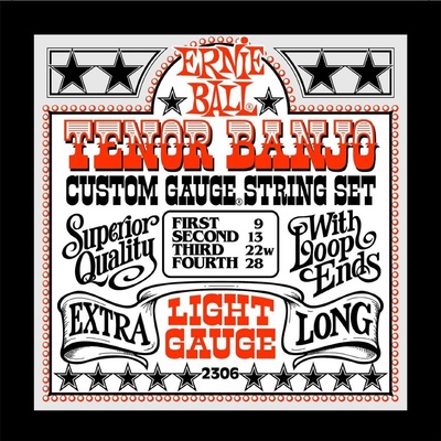 ERNIE BALL 2306