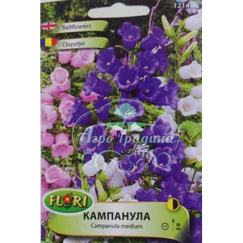 Image 1 of Флориан Кампанула (Камбанка)