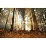 DIMEX ART Флизелинов фототапет гора на разсъмване 375 x 250 см