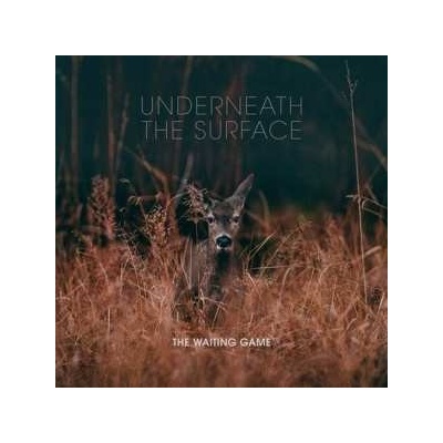 Waiting Game - Underneath The Surface LP