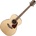 Takamine GN93 Natural Джъмбо китара