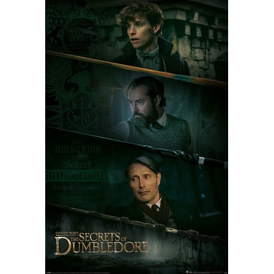 Plagát, Obraz - Fantastic Beasts: The Secrets of Dumbledore - Three Wands, 61 × 91.5 cm