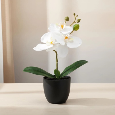 Gasper Umělá orchidej Phalaenopsis, bílá