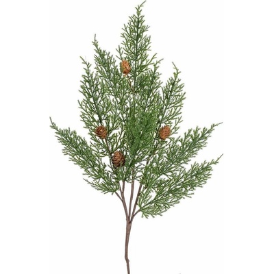 Konár tuja, šišky 50cm 225670