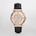 Michael Kors MK2376