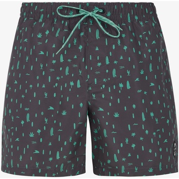 Protest Протест PRTGROM мъжки плажни шорти Protest | Siv | МЪЖЕ | L