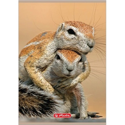 Herlitz Zošit A5 16k mriežkovaný Animals