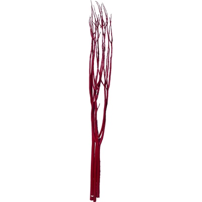 Mitcumata, Kuwa červená 120-130 cm, 3 ks