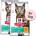 HILL'S Hill s Science Plan Perfect Weight гранули за възрастни котки с пиле 2 x 7 кг