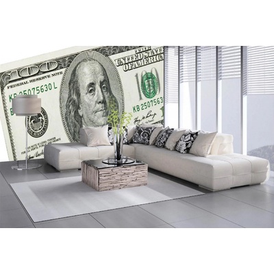 Dimex MA-5-2937 Samolepicí vliesová fototapeta na zeď Benjamin Franklin na bankovce rozměry 375 x 250 cm