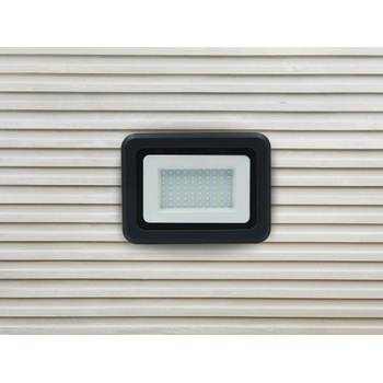 Nedes LF0024