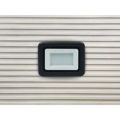 Nedes LF0024