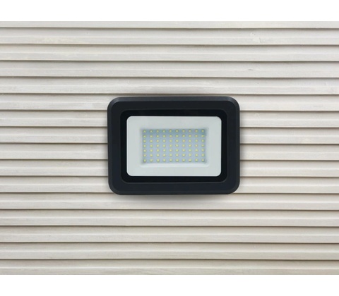 Nedes LF0024