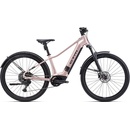 CTM RUBY GX 2026