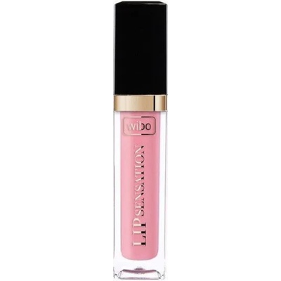WIBO Гланц за устни с хиалуронова киселина Lip Sensation, 11, 5 ml