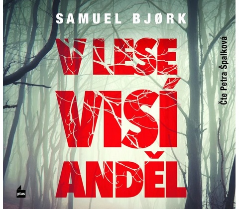 V lese visí anděl