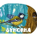 Sýkorka