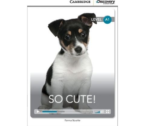 CDE 1 SO CUTE! +ONLINE CODE