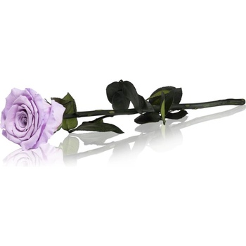 RoseAmor Lila стабилизирана роза стрък 30 см