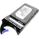 IBM 1TB, 3,5", 7200rpm, HS, 6Gb, NL, SAS, 42D0777